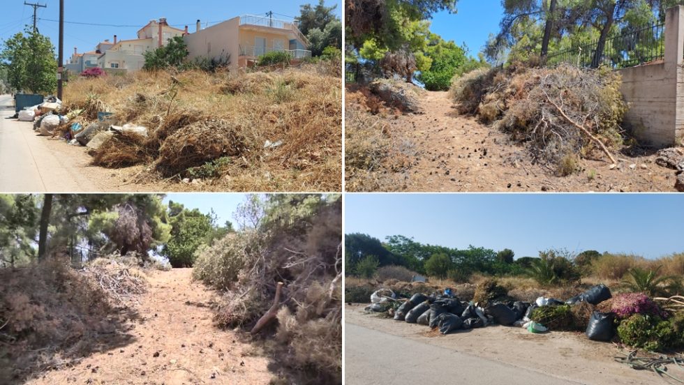 porto rafti-nea makri-oropos